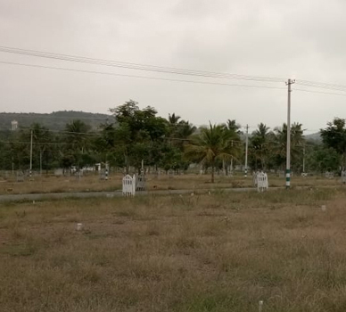 Homes